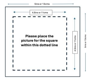 Mayors patch measurements